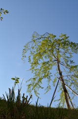 風景