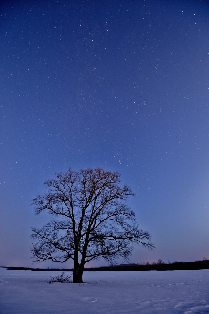 星降る夜に