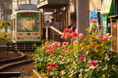 都電荒川線　その2