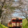 桜といすみ鉄道その5