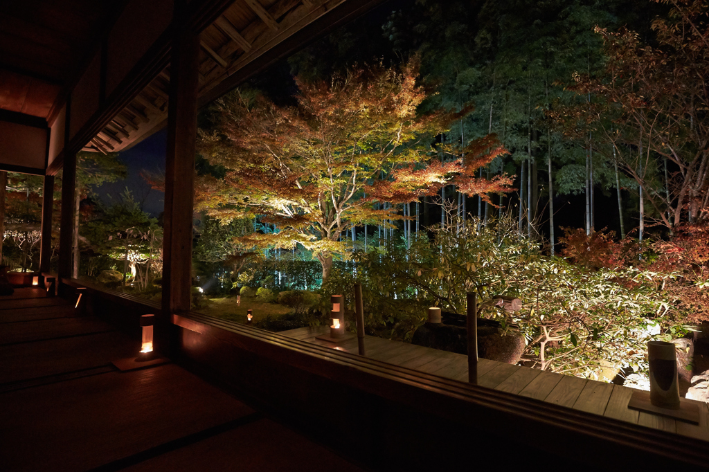 宝泉院　らいとあーーーっぷ
