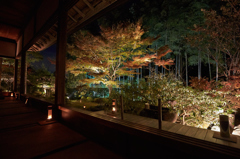 宝泉院　らいとあーーーっぷ