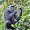上野動物園その9