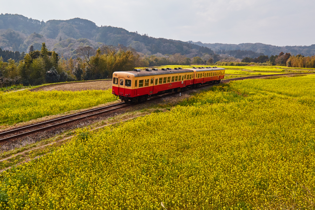 小湊鉄道2016　春　その5