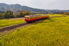 小湊鉄道2016　春　その5