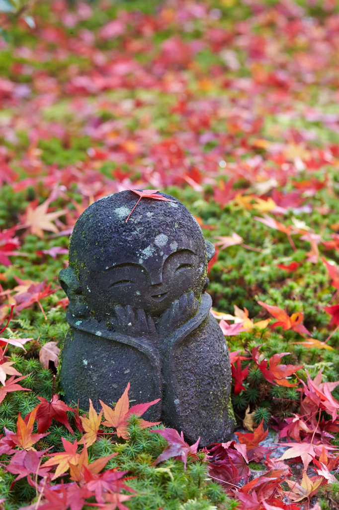 ほほえみ