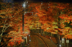 紅葉電車