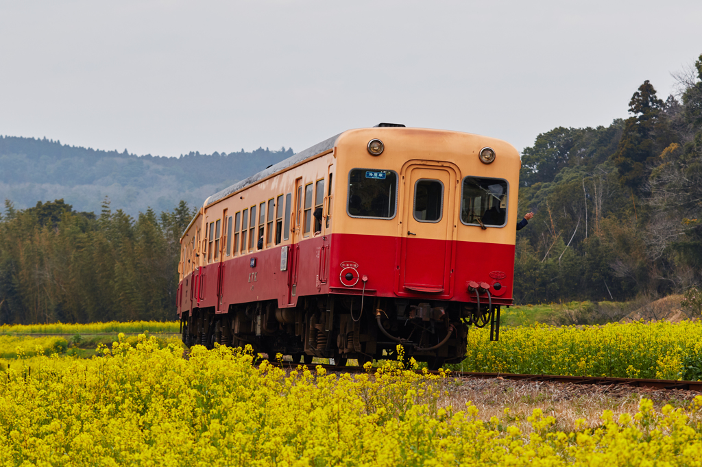 小湊鉄道2016　春　その8