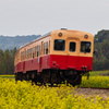 小湊鉄道2016　春　その8