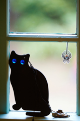 窓際の猫