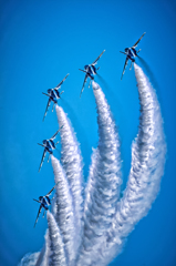 WILD BLUE