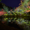 2015秋　京都　その２2