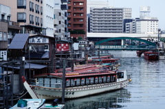 屋形船を望む