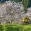桜といすみ鉄道その7