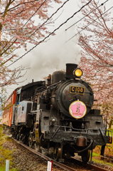 大井川鐵道～桜ＳＬ～その3