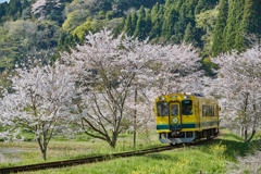 桜といすみ鉄道その１0