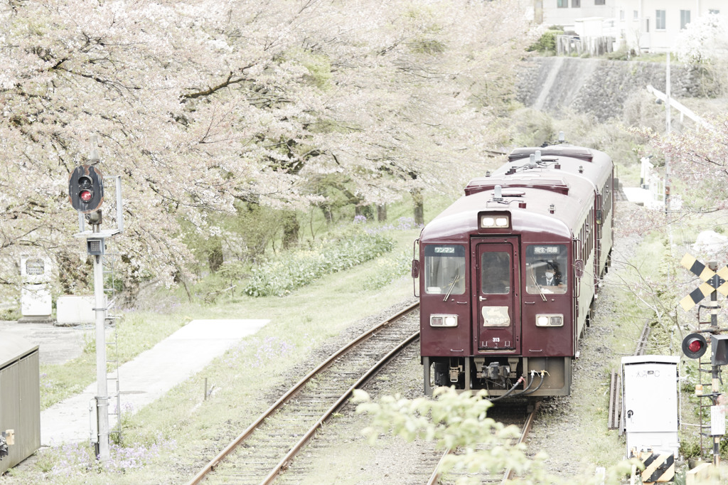 わたらせ渓谷鉄道その1