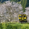 桜といすみ鉄道その8