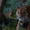 上野動物園その2