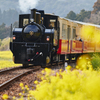 小湊鉄道2016　春　その7