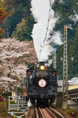 大井川鐵道～桜ＳＬ～その6