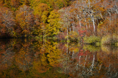 鎌池の紅葉　その４