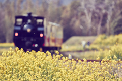 小湊鉄道2016　春　その4