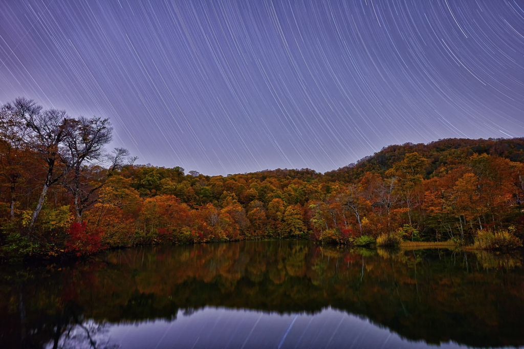 星降る夜に