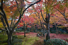 夢幻の光景