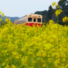 小湊鉄道2016　春　その2