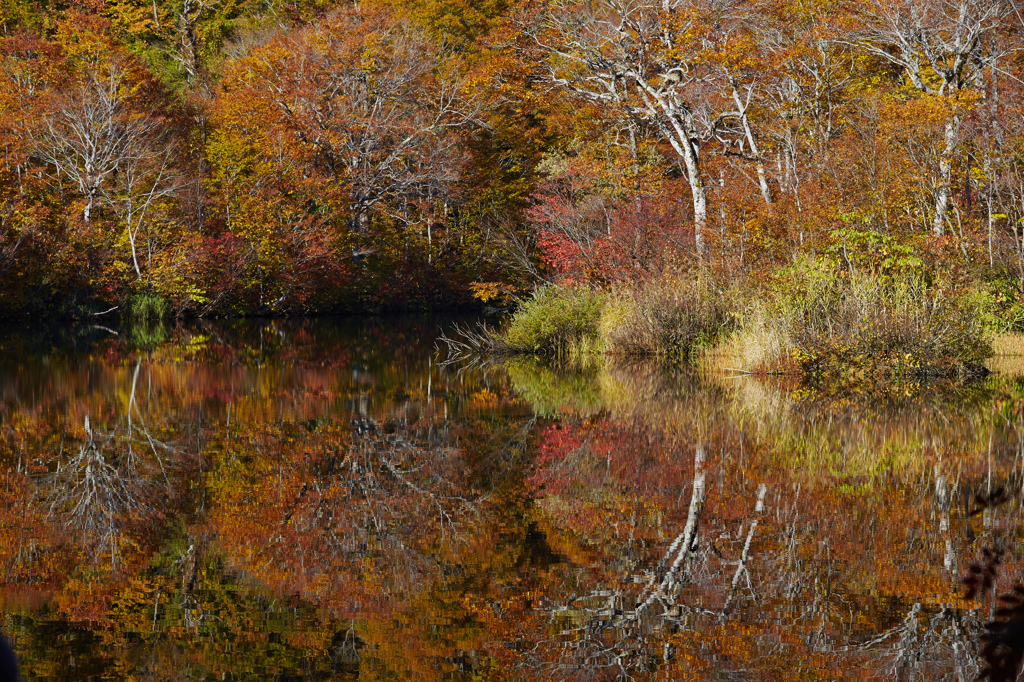 鎌池の紅葉その２