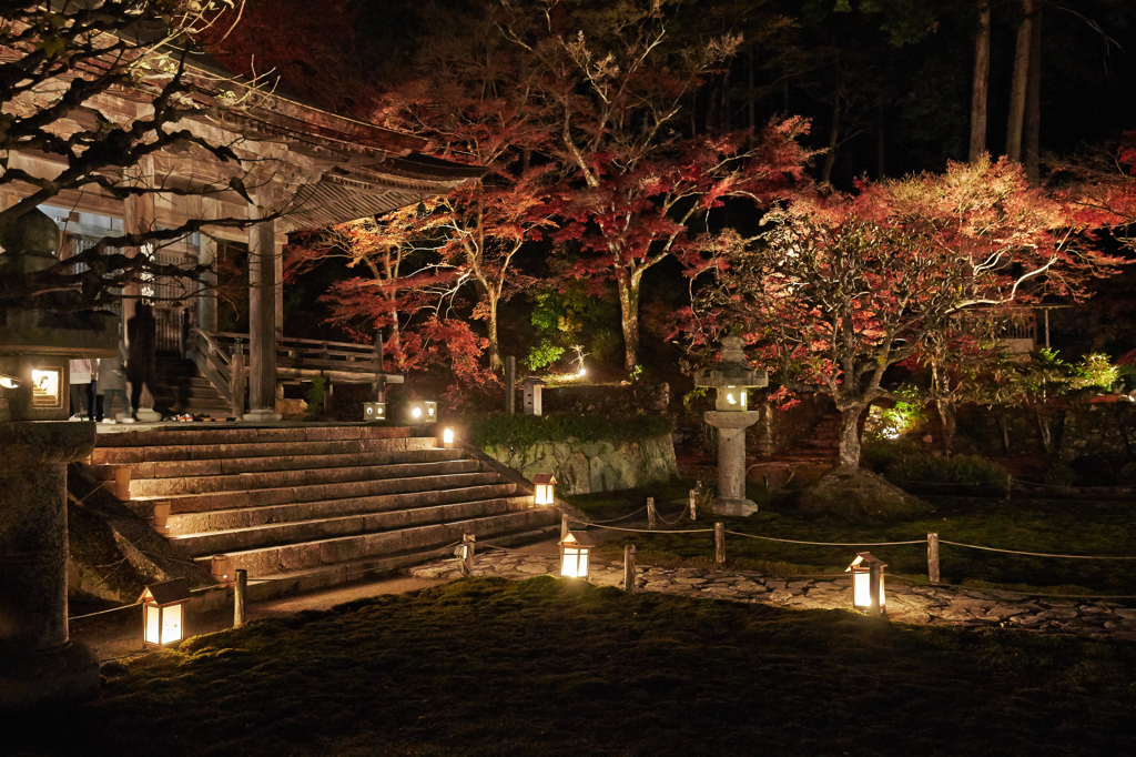 京都の夜がふけていく・・・