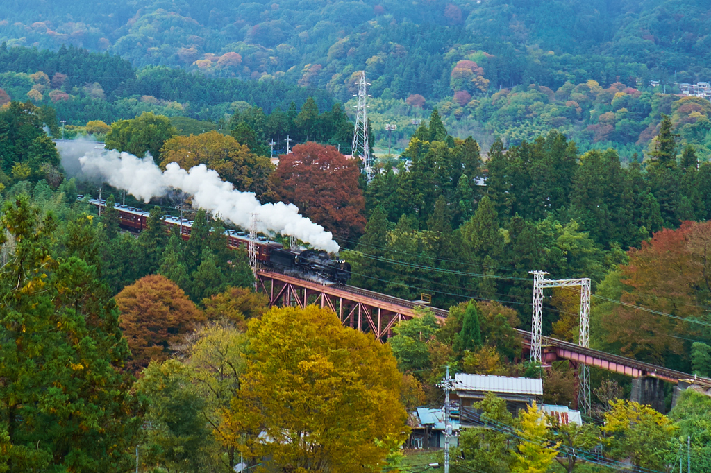 紅葉列車