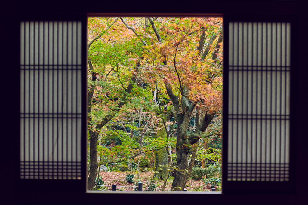 2015秋　京都　その17