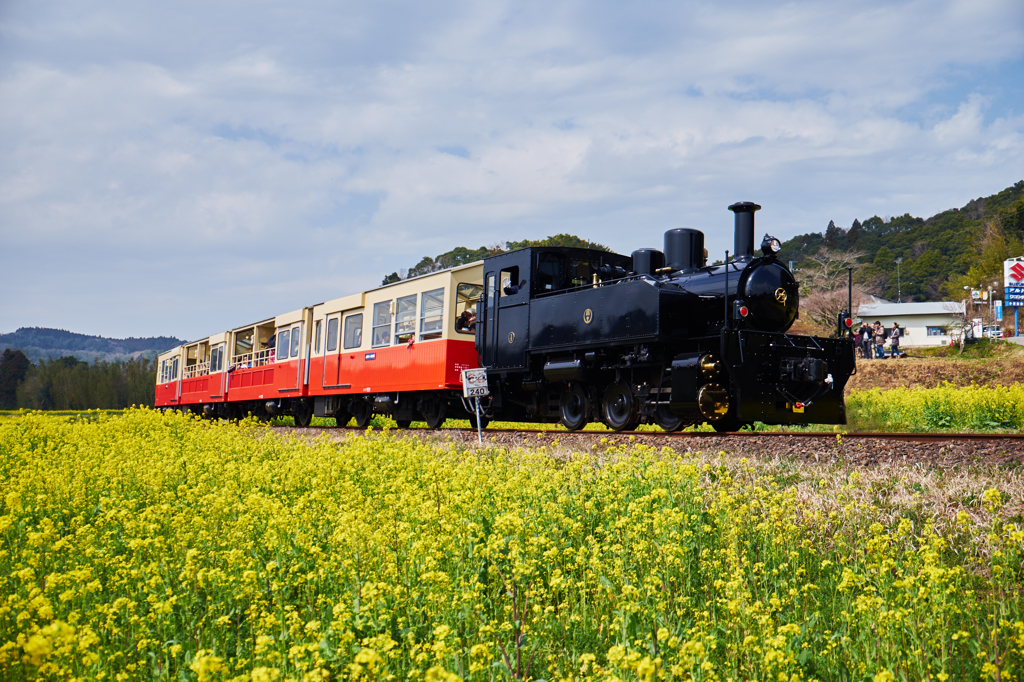 小湊鉄道2016　春　その10