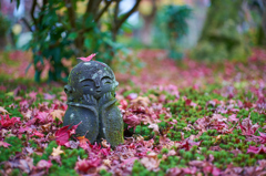 2015秋　京都　その8