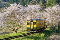 桜といすみ鉄道その１