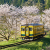 桜といすみ鉄道その１
