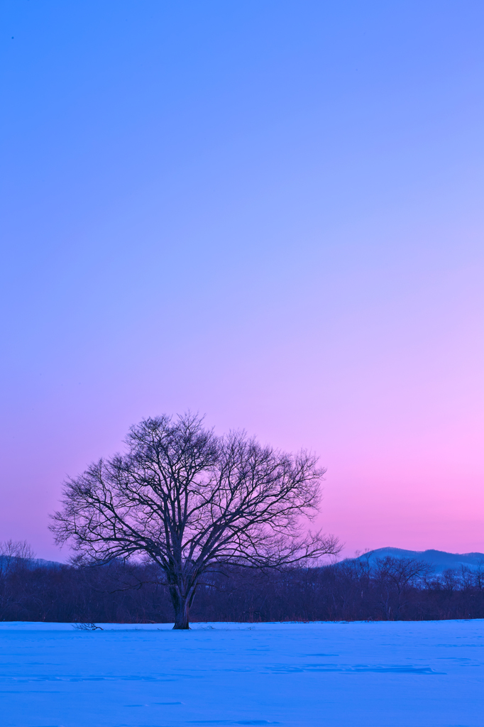 夕と夜との間