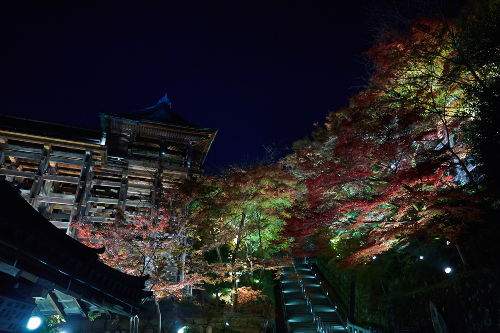 清水寺を見上げて
