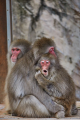 上野動物園その7