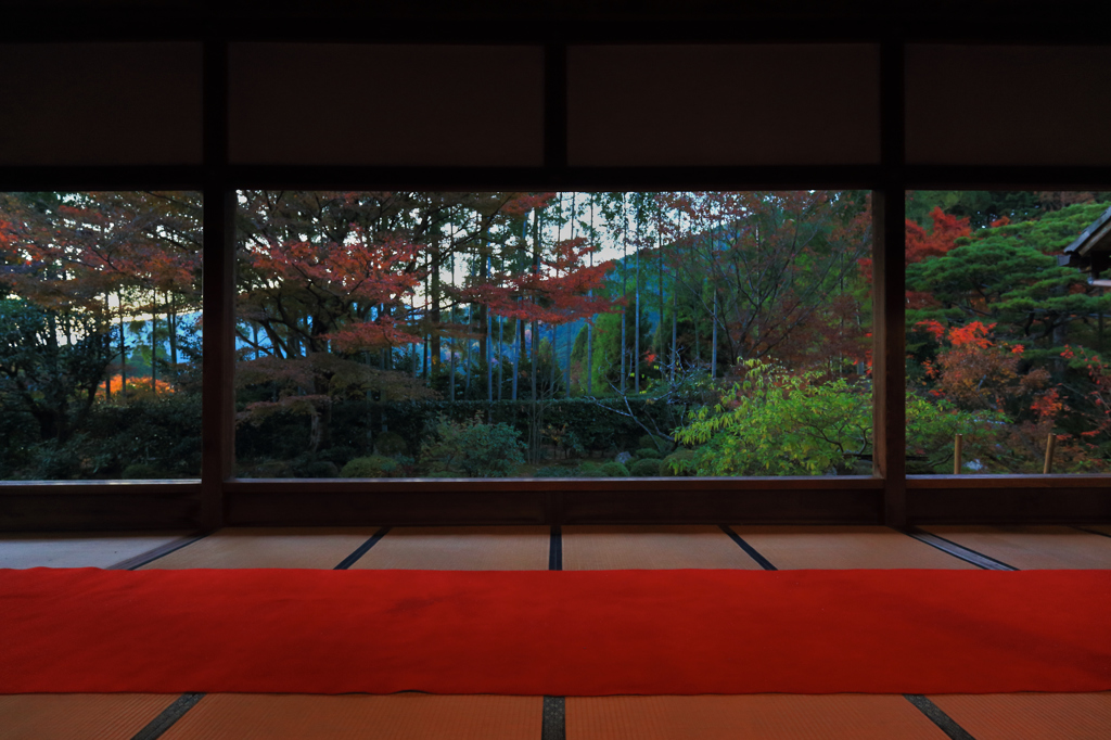 宝泉院