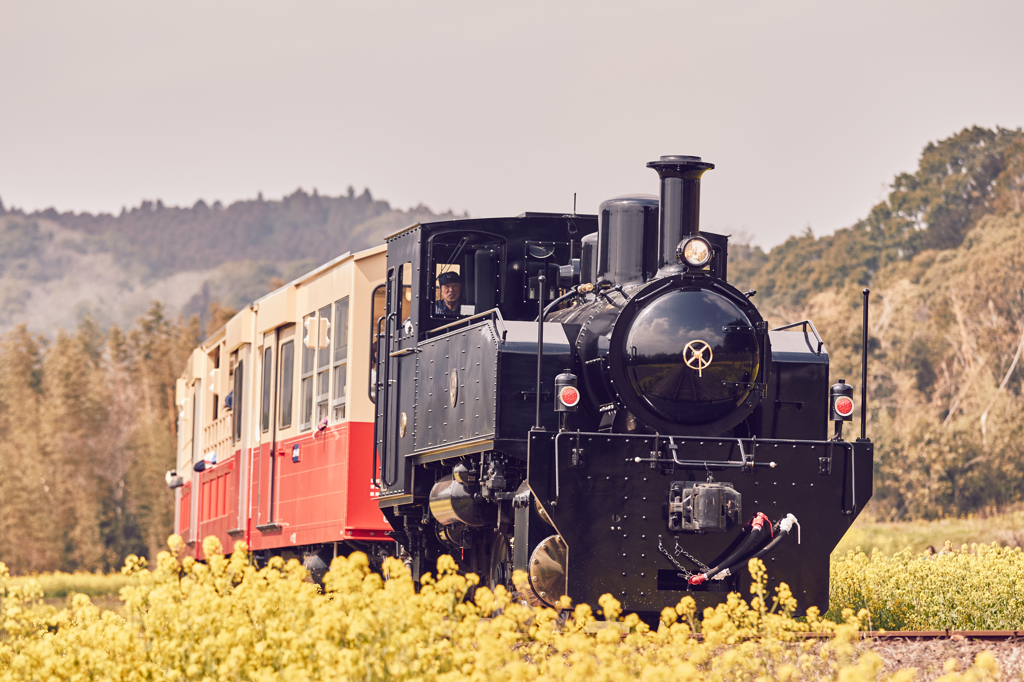 小湊鉄道2016　春　その3