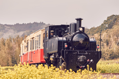 小湊鉄道2016　春　その3