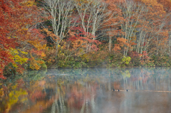 Peaceful world