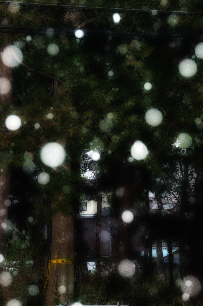 雪