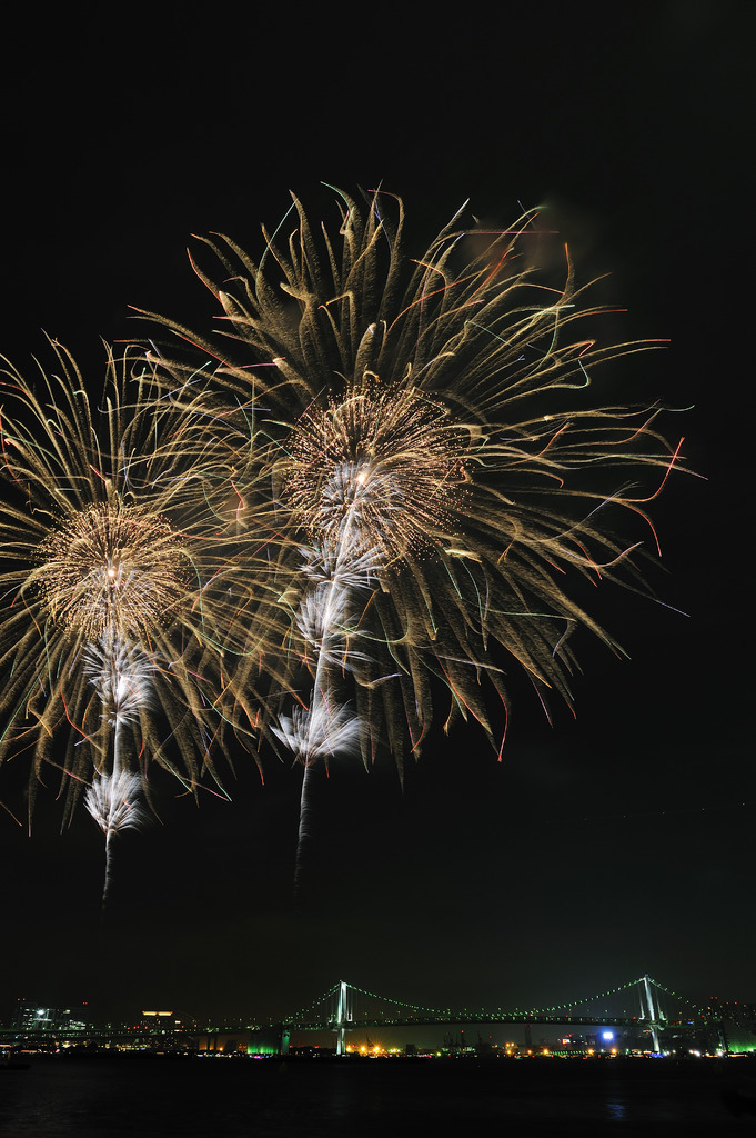 第22回東京湾大華火祭