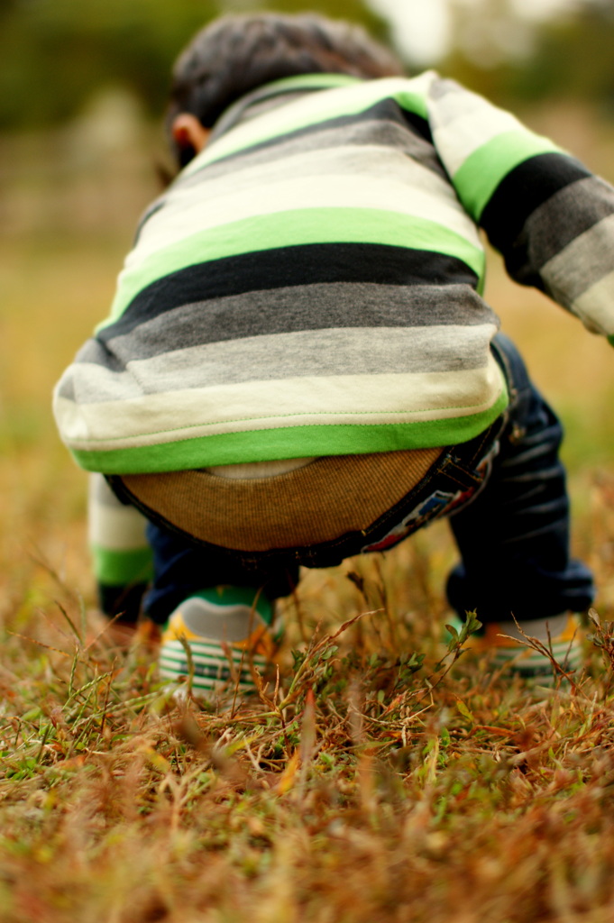 なにがあるの？