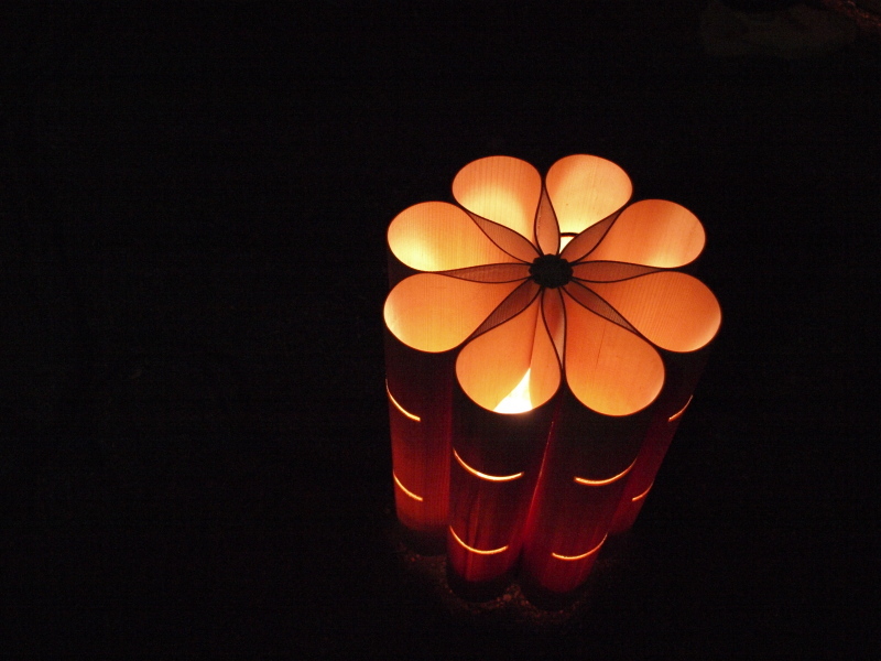夜の花