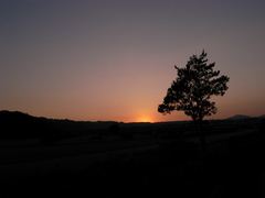 R0010340